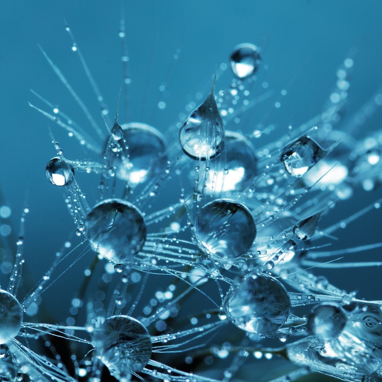 Wasser